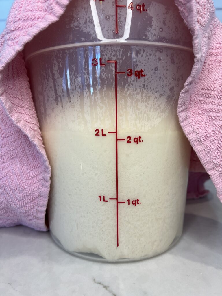 The best pull apart sourdough discard dinner rolls [egg free]